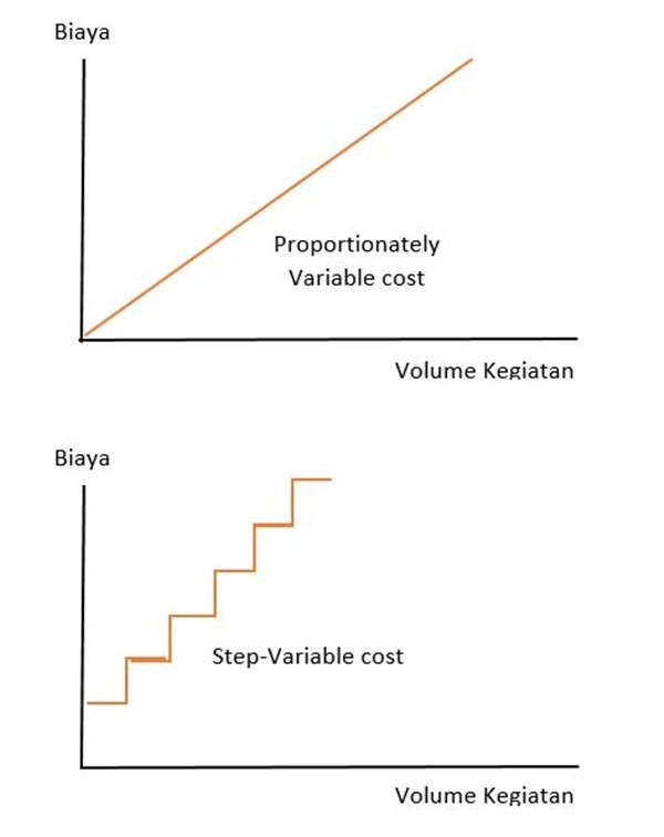 biaya variabel
